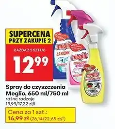 Biedronka Spray łazienka Meglio oferta