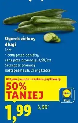 Lidl Ogórek długi oferta