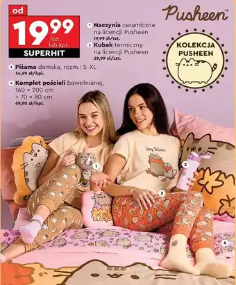 Biedronka Naczynia ceramiczne pusheen oferta
