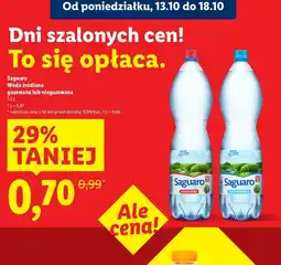 Lidl Woda niegazowana Saguaro oferta
