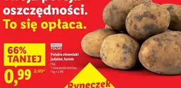 Lidl Ziemniaki polska oferta