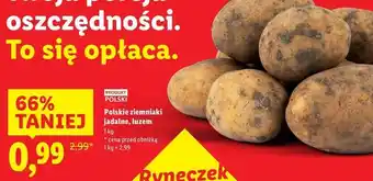 Lidl Ziemniaki polska oferta