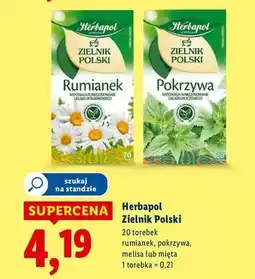 Lidl Herbatka mięta Herbapol Zielnik Polski oferta