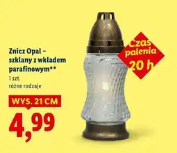 Lidl Znicz opal 21 cm oferta
