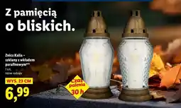 Lidl Znicz szklany kula oferta
