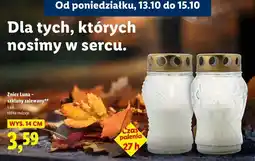 Lidl Znicz szklany 27 h Luna oferta