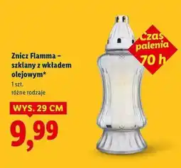 Lidl Znicz flamma 70h oferta