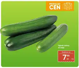Dino Ogórek zielony na wagę Dino oferta