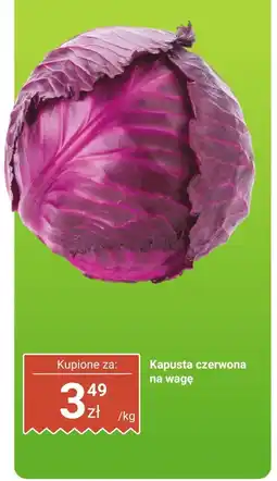 Dino Kapusta czerwona na wagę Dino oferta