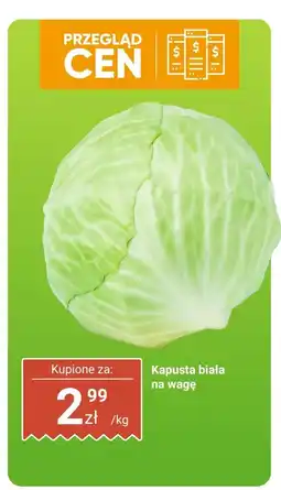 Dino Kapusta biała na wagę Dino oferta
