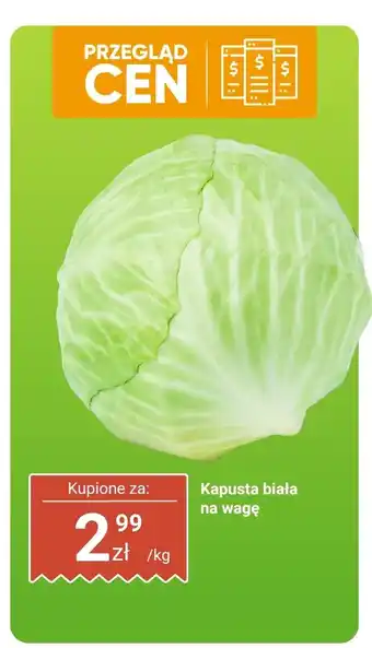 Dino Kapusta biała na wagę Dino oferta
