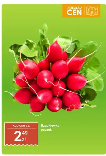 Dino Rzodkiewka - pęczek Dino oferta