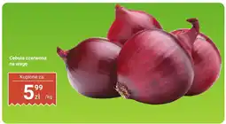 Dino Cebula czerwona na wagę Dino oferta