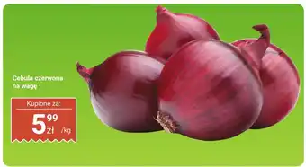Dino Cebula czerwona na wagę Dino oferta