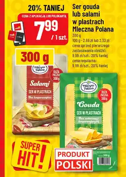 Polomarket Ser salami w plastrach Mleczna Polana oferta