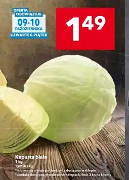 Lewiatan Kapusta biała oferta