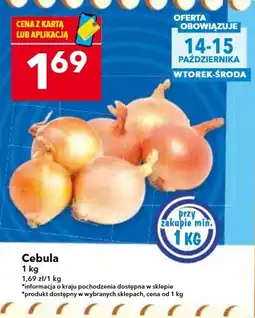Lewiatan Cebula oferta