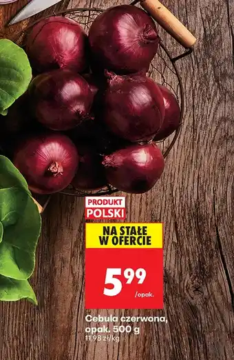 Biedronka Cebula czerwona Polski oferta