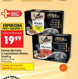 Biedronka Karma dla kota Sheba oferta