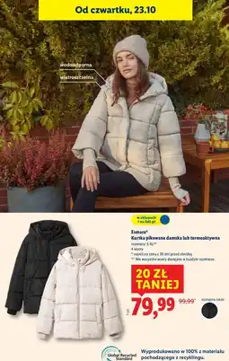Lidl Kurtka damska Esmara oferta