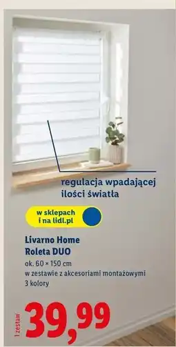 Lidl Roleta dzień i noc 60 x 150 cm Livarno Home oferta