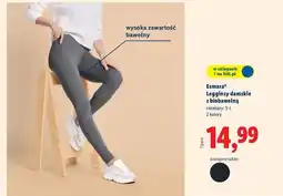 Lidl Legginsy damskie rozm. s-l Esmara oferta