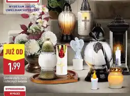 ALDI Podkładka pod znicze serce oferta