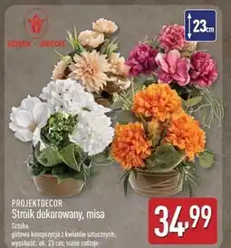 ALDI Stroik w misie Projektdecor oferta