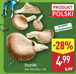 ALDI Boczniaki ALDI oferta