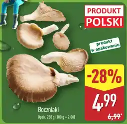 ALDI Boczniaki oferta