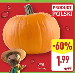 ALDI Dynia Aldi oferta