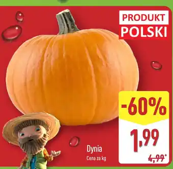 ALDI Dynia Aldi oferta