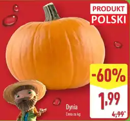 ALDI Dynia oferta