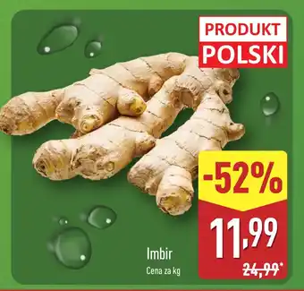 ALDI Imbir oferta
