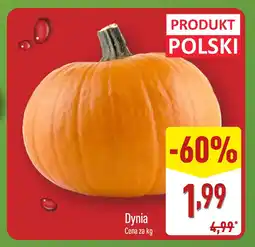 ALDI Dynia ALDI oferta