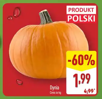 ALDI Dynia ALDI oferta