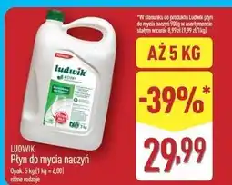 ALDI Płyn do naczyń miętowy Ludwik oferta