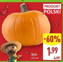 ALDI Dynia 1 kg Aldi oferta