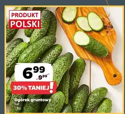 Netto Ogórek gruntowy luz Produkt Polski oferta