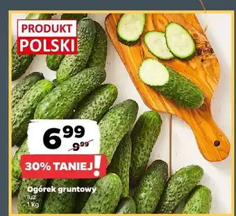 Netto Ogórek gruntowy luz Produkt Polski oferta