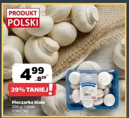 Netto Pieczarka biała Produkt Polski oferta