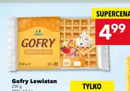 Lewiatan Gofry Lewiatan oferta