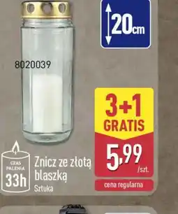 ALDI Znicz ze złotą blaszką oferta