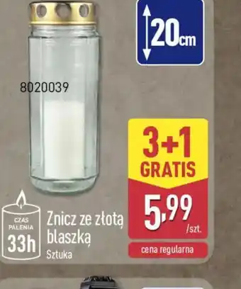 ALDI Znicz ze złotą blaszką oferta