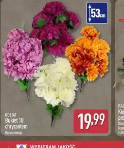 ALDI Bukiet 18 chryzantem Goliat oferta