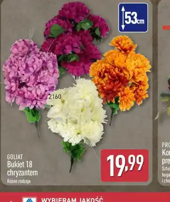 ALDI Bukiet 18 chryzantem Goliat oferta