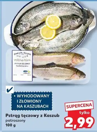 Kaufland Pstrąg tęczowy z Kaszub patroszony Kaufland oferta