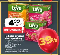 Netto Herbata owocowa ekspresowa Loyd pomarańcza i grejpfrut, malina i truskawka, malina oferta