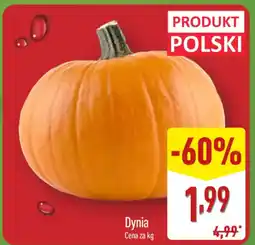 ALDI Dynia oferta
