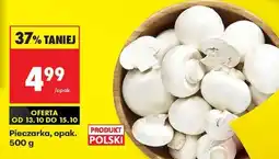 Biedronka Pieczarka opak 500 g oferta